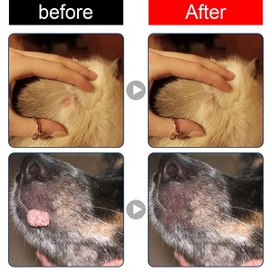 YEGBONG Popolare su Lazada, Rimuovi-<span class=keywords><strong>Verruche</strong></span> per Cani da 20ml, Formula Naturale Avanzata per la Cura della Pelle degli Animali Domestici - Product Image 6