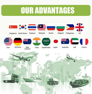 OEM ODM 工厂直供 免费样品 工厂批发 大量供应 高品质凝固型膨润土猫砂 - Product Image 4