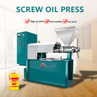 Presse à huile d'olive extra vierge et à huile de coco automatique pour usage domestique avec filtre à huile en acier inoxydable