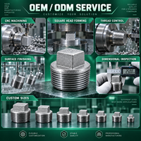 Bouchon de tuyau carré sur mesure, filetage mâle NPT BSPT, raccord hydraulique pneumatique, OEM personnalisé
