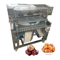 Extracteur de graines d'olive à haute productivité/Oliver Stoner/Machine à enlever les graines de dattes séchées