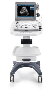 Échographe vétérinaire portable Edan U50 VET, échographe Doppler couleur pour la gestation animale et les hôpitaux vétérinaires - Product Image 3