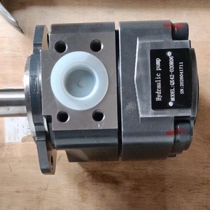 Bombas hidráulicas QXV32-012R QXT42-032/42-032 QX42-020R06 QX61-200/31-020/33-010R QX41-040/32-010R09 Bomba de aceite para engranajes - Product Image 6