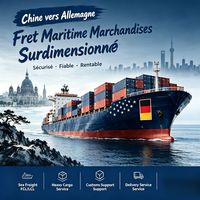 Allemagne Amazon FBA Fret maritime depuis la Chine avec dédouanement DDP et livraison porte-à-porte jusqu'au entrepôt