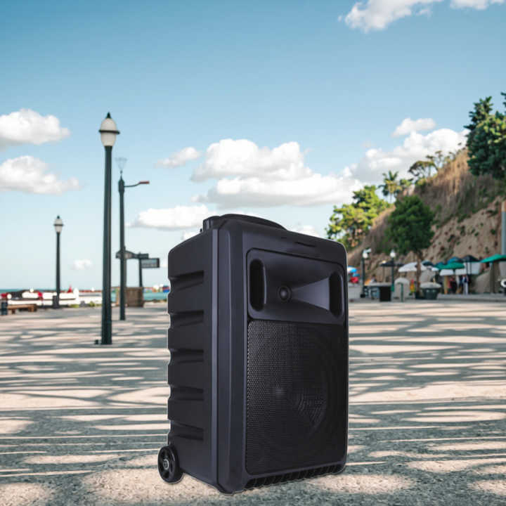 12-Inch Portable Trolley Wireless Mic Outdoor DJ Party Extra Bass Bt ...