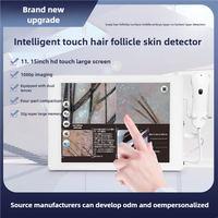 Appareil professionnel de soin du cuir chevelu et du visage, testeur de cuir chevelu, instrument de traitement de la croissance des cheveux, technologie IA, écran tactile US/ZA