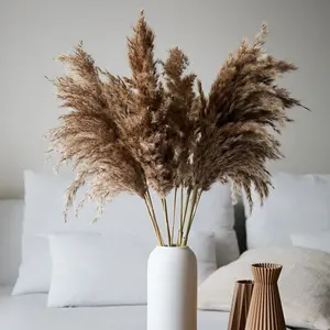 Ins hoa sắp xếp 5pcs khô pampas hoa boho món quà mộc mạc cô dâu bó hoa ủng hộ đám cưới Hoang Dã sang trọng chùm pampas cỏ