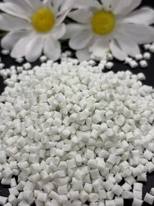 Longzheng Yüksek Sertlikte <span class=keywords><strong>PET</strong></span> %30 Cam Elyafı Alev Geciktirici V0 Sınıfı Enjeksiyon Kalıplama Sınıfı Hammadde Özel Isıya Dayanıklı - Product Image 4