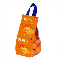 Voorgevormde plastic gaasverpakking voor sinaasappels, mandarijnen en citrusvruchten, herbruikbare fruitnetten verpakkingstas