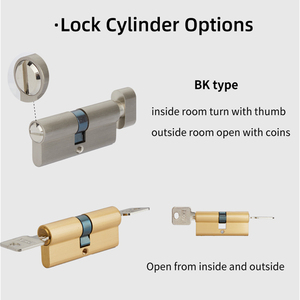 Koppalive, nuevo diseño patentado, cerradura de paso de privacidad, manija de puerta de palanca de latón antiguo de alto estándar americano con cerradura - Product Image 5