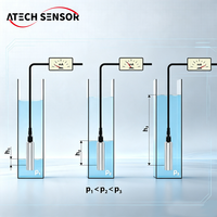 Sensor de Nivel de Líquido Hidrostático de Acero Inoxidable 316L para Tanque de Almacenamiento Industrial, 4-20mA RS485 Modbus, Precisión de 0.5% FS
