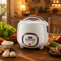 Cuisinière à riz automatique avec fonction maintien au chaud, affichage numérique LED, autocuiseur électrique pour riz, soupe, ragoût, viande