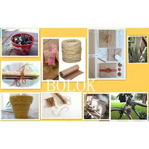 Ficelle en <span class=keywords><strong>sisal</strong></span> 100 % naturelle, durable et écologique, fil torsadé, <span class=keywords><strong>corde</strong></span> de 1 à 6 mm, <span class=keywords><strong>bobine</strong></span>/paquet pour la décoration DIY - Product Image 6