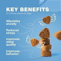 Advanced Dog Calming Chews, Supplément naturel pour animaux de compagnie pour chiens, Premium Calming Pet Chews Treats
