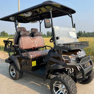 Carrito de Golf de Lujo de 4 Plazas con Batería de 48v/72v, Mini Carrito de Golf con Diseño de Lujo, Se Acepta Personalización - Product Image 5