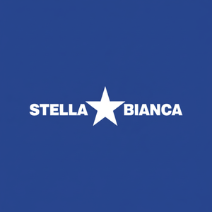 Stella bianca punta diamantata per porcellanato in gres marmo cemento 5mm 067 c05 nucleo M14 filo per fori 10mm - Product Image 1