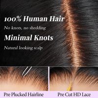 Peluca de Cabello Humano Natural Vietnamita, Pelucas con Frente de Encaje 13x6 13x4, Pelucas con Frente de Encaje HD Completamente Transparentes sin Pegamento para Mujeres Negras