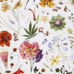 Más vendidos 2025 colorido nuevo Tana Labirty Floral impreso diseño ropa Liberty Lawn estampado telas césped para vestido - Product Image 3