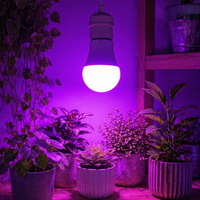 Lampe de culture LED rouge et bleue E26 120V, fabriquée en Chine, à intensité variable, sans scintillement
