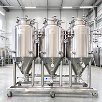 Cuve de Fermentation Nanobrouwerie 100L en Acier Inoxydable 304 de Haute Qualité pour Équipement de Brassage de Bière, Récipient sous Pression