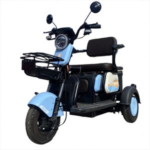 Hot Selling Passenger Seat Adult Pedal Roof Two Rikshaw <strong>Riksha</strong> Railcar New Car Electric Tricycle - Product Image 1