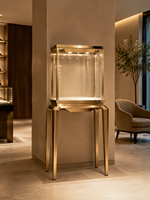 Vitrine à bijoux sur pied sur mesure avec cadre en acier inoxydable finition or, vitrine en verre et éclairage LED