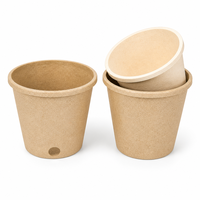 Pot de fleurs écologique en pulpe de bagasse personnalisé, pot de bureau biodégradable en papier pour la décoration des plantes de balcon à domicile