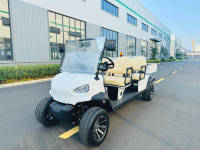 Chariot de golf de voiture de club de navette de patrouille sans auvent pour des stations de train d'aéroports