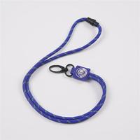 CH Wholesale Sublimation Printing Polyester Lanyards With Logo Custom Certification Keychain OEM ODM ECO Promotion Event Gifts