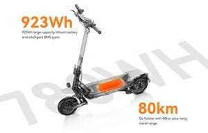 Электрический скутер, 120 кг, грузоподъемность, литий 60 В, 1000 Вт, 15,6 А · ч, 50 км/ч, 10 дюймов - Product Image 5