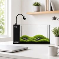 Aquarium de bureau 50 cm, directement de l'usine OEM, avec filtre latéral intégré et éclairage LED zoomable pour paysages personnalisés – Vente en gros