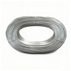 سبيكة كروم-نيكل-حديد Cr20Ni30 عالية المقاومة للأكسدة وغير مغناطيسية بنقاء 99.5٪ للتسخين الكهربائي - Product Image 6