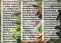 Paket bertahan hidup biji sayur dan buah, 20 macam penyimpanan jangka panjang paket Mylar berkebun Set hadiah dengan bunga buatan