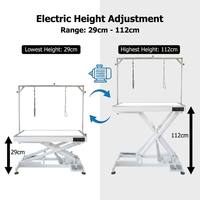 Table de toilettage électrique professionnelle AP-873 avec lumière LED et hauteur réglable, table de toilettage pour chiens avec LED