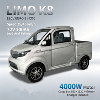 Camionnette électrique mini entièrement fermée homologuée CEE européenne, véhicule utilitaire électrique à énergie nouvelle pour la livraison et la manutention de marchandises