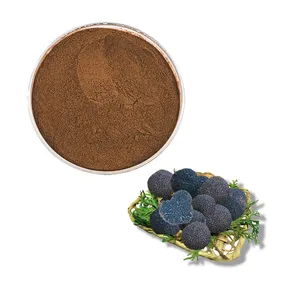 <span class=keywords><strong>Chinese</strong></span> Bulk Zwarte Truffel Paddestoel Truffel <span class=keywords><strong>Extract</strong></span> Poeder - Product Image 1