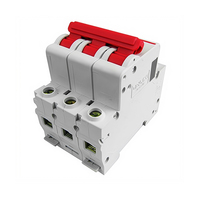 DELIXI 3P AC TP MCB Miniature Circuit Breaker DELIXI 3pole G3 Disjoncteur DIN Rail Type C CB Kualitas Terbaik MCB 4 -125A