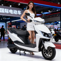 Trottinette électrique robuste 1500W 60V 30Ah 45km/h Autonomie 60km Capacité de charge 300kg Montée en pente 30 degrés Freins à disque doubles EEC