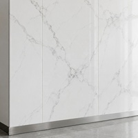 Plaque PVC Effet Marbre WYRAX 4x8ft 5mm Gris Clair Carrara pour Couloir Résidentiel Intérieur, Panneau d'Appartement à Faible Entretien