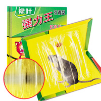 Approvisionnement d'usine Souris Souris Rat Piège Colle Collant Pad Planches Souris Colle Piège