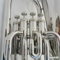 Wholesale/OEMFactory Price Four Vertical Keys on the Bass Tuba Brass Instrument B Flat Students Grade Professional Band