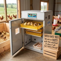 Incubateur et éclosoir entièrement automatique pour œufs de perroquet, poulet, canard, caille et autres oiseaux