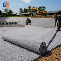 Bâche en argile bentonite GCL haute résistance à la traction, résistante aux perforations, de haute qualité pour l'utilisation sur les pentes de barrages et réservoirs