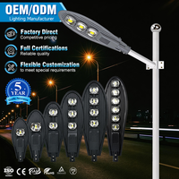 Lampadaires extérieurs en aluminium de qualité supérieure 30w 50w 100w 150w 200w 250w, lampes de rue étanches IP66, lampadaires LED COB