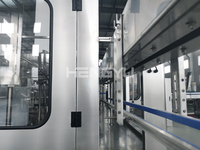 Usine de remplissage/embouteillage de produits aqueux à haut rendement automatique/ligne de production de boissons aqueuses avec emballage en verre PET durable