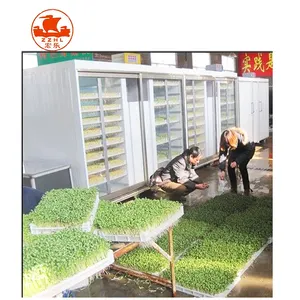 Commercial Bean Sprout Growing Machine/Sprouts Growing Equipment/Automatic Botty Sprout Machine