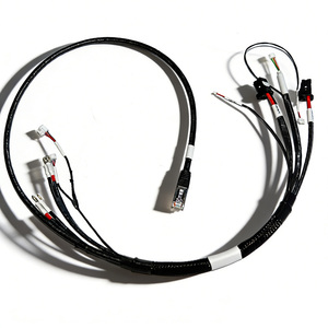 맞춤형 배선 하네스 케이블 어셈블리(다중 커넥터 포함) |   USB / 플러그 / 터미널 OEM - Product Image 4