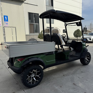 2-Seater Electric Golf Cart with Cargo <b>Box</b> - Product Image 5