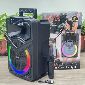 SZ-807 लोकप्रिय हॉट सेल पोर्टेबल आउटडोर 8 इंच सुपर बास वायरलेस कराओके ब्लू-दांत स्पीकर सक्रिय वूफर पार्टी dj स्पीकर - Product Image 5