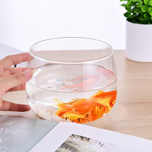 Décor à la maison Aquaponics plante <span class=keywords><strong>Terrarium</strong></span> aquarium clair hydroponique verre fait à la main noël moderne verre Vase fleurs en verre - Product Image 3